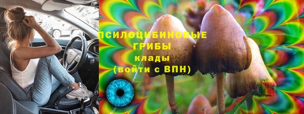 дживик Алексин