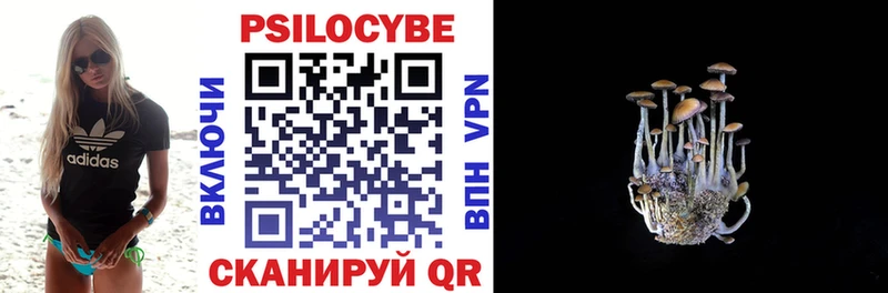 купить наркотик  Владивосток  Псилоцибиновые грибы MAGIC MUSHROOMS 